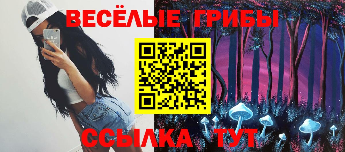 Галлюциногенные грибы MAGIC MUSHROOMS  купить закладку  Тверь  Вход с VPN 